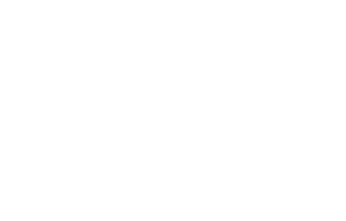 Effective Lawyer
