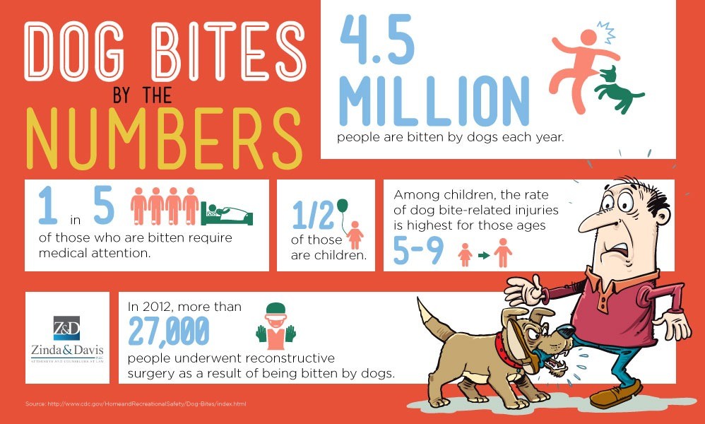 Dog Bite Statistics | Zinda Law Group PLLC