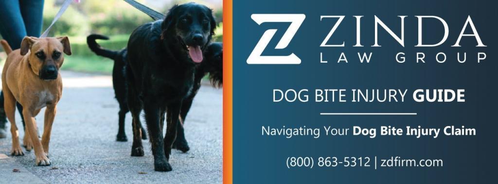dog bite injury claims guide download