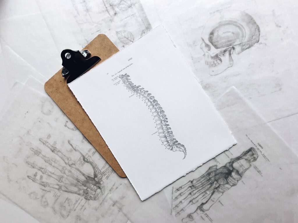Spinal Cord Injury Lawyers in Colorado Springs, Colorado