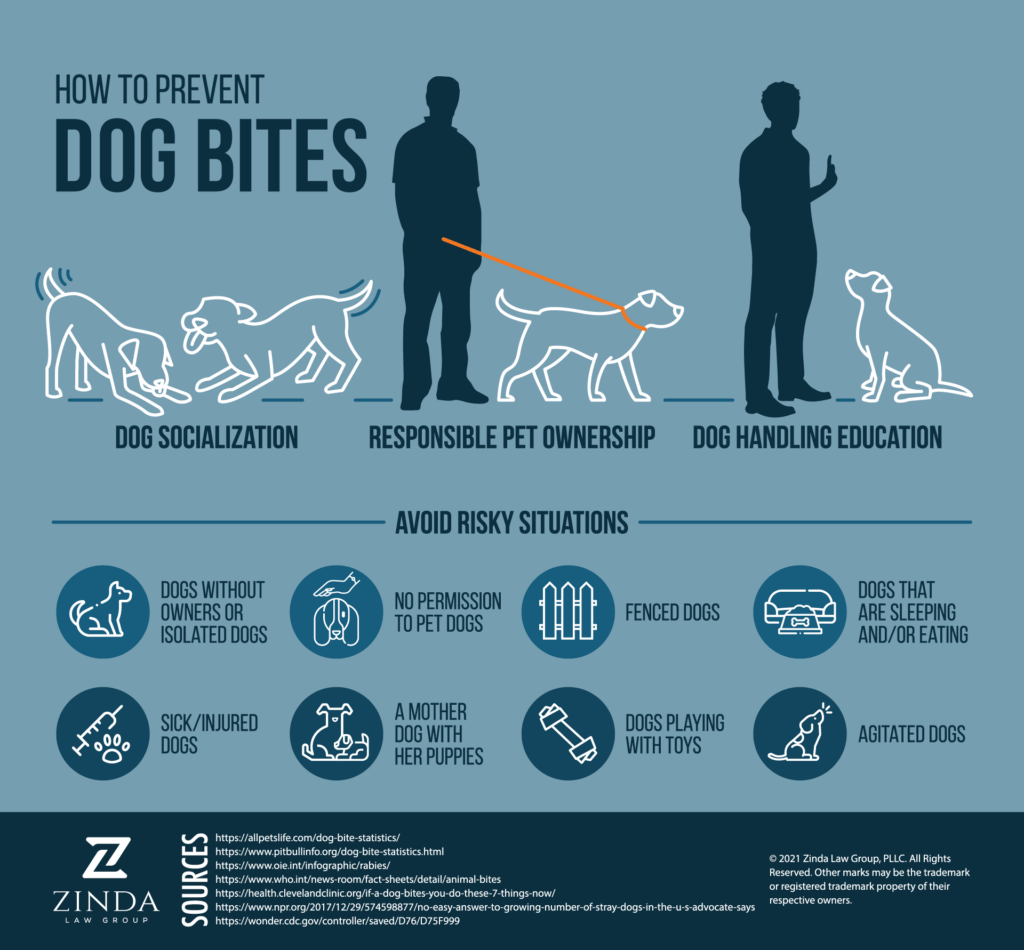 Dog Bite Injury Compensation | Zinda Law Group