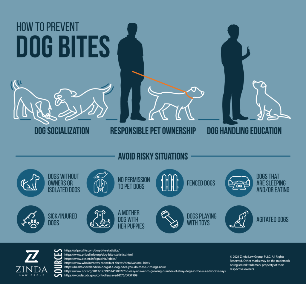 ZInda-Law-Group-Dog-Bite-How-to-Prevent (1) | Zinda Law Group, PLLC Colorado Dog Bite Lawyers | Zinda Law Group