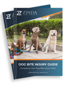 Dog Bite Injury Guide