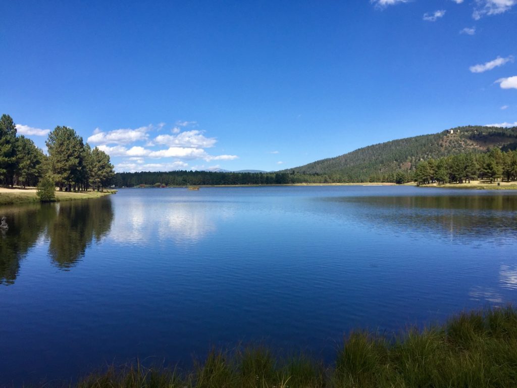 Locals Save Drowning Man at New Mexico Lake