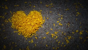 Get compassionate care from a wrongful death attorney in Fort Collins, CO, now.