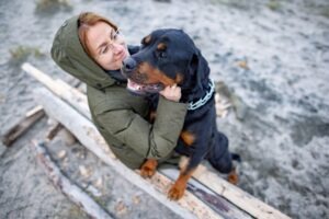 What Should I Do If I was Bitten by a Rottweiler?
