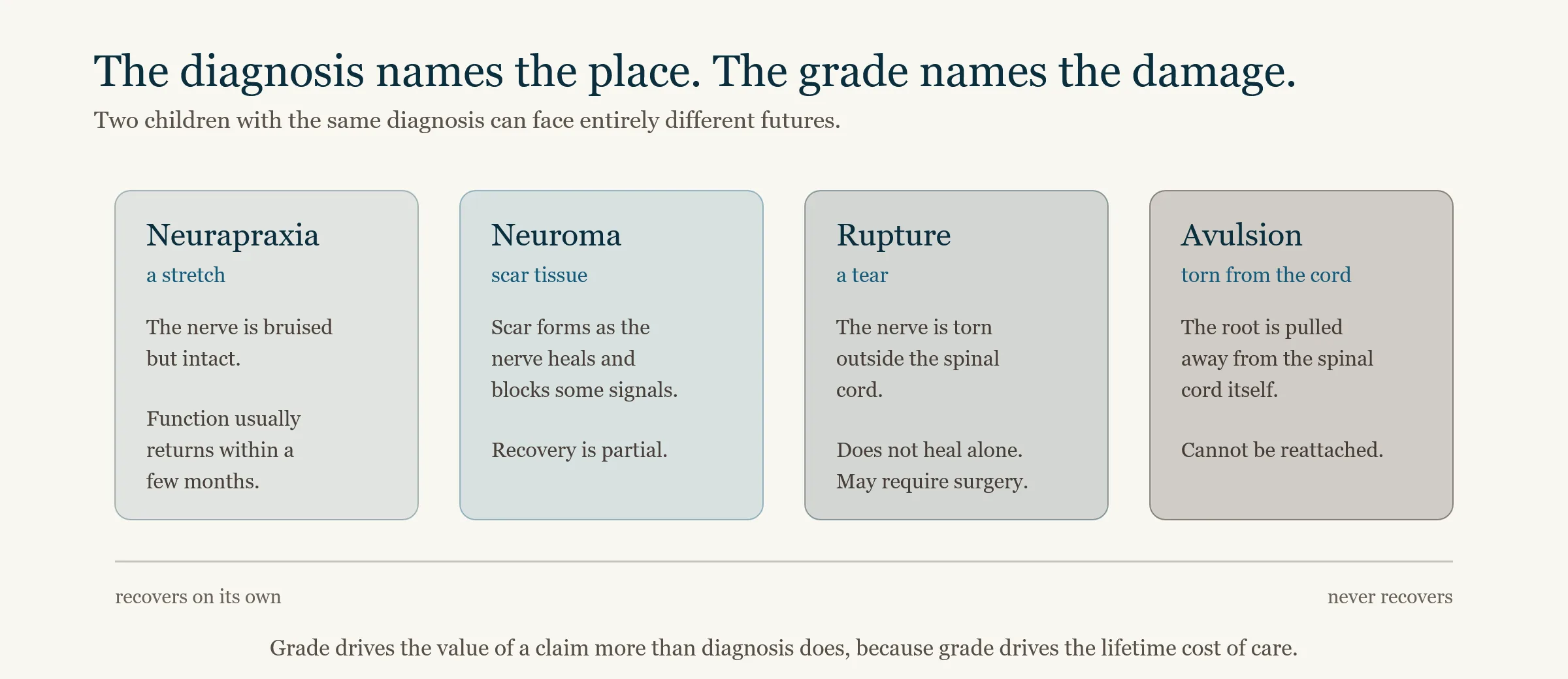 Four grades of brachial plexus nerve injury shown in order of severity: neurapraxia, neuroma, rupture and avulsion, with the recovery outlook for each
