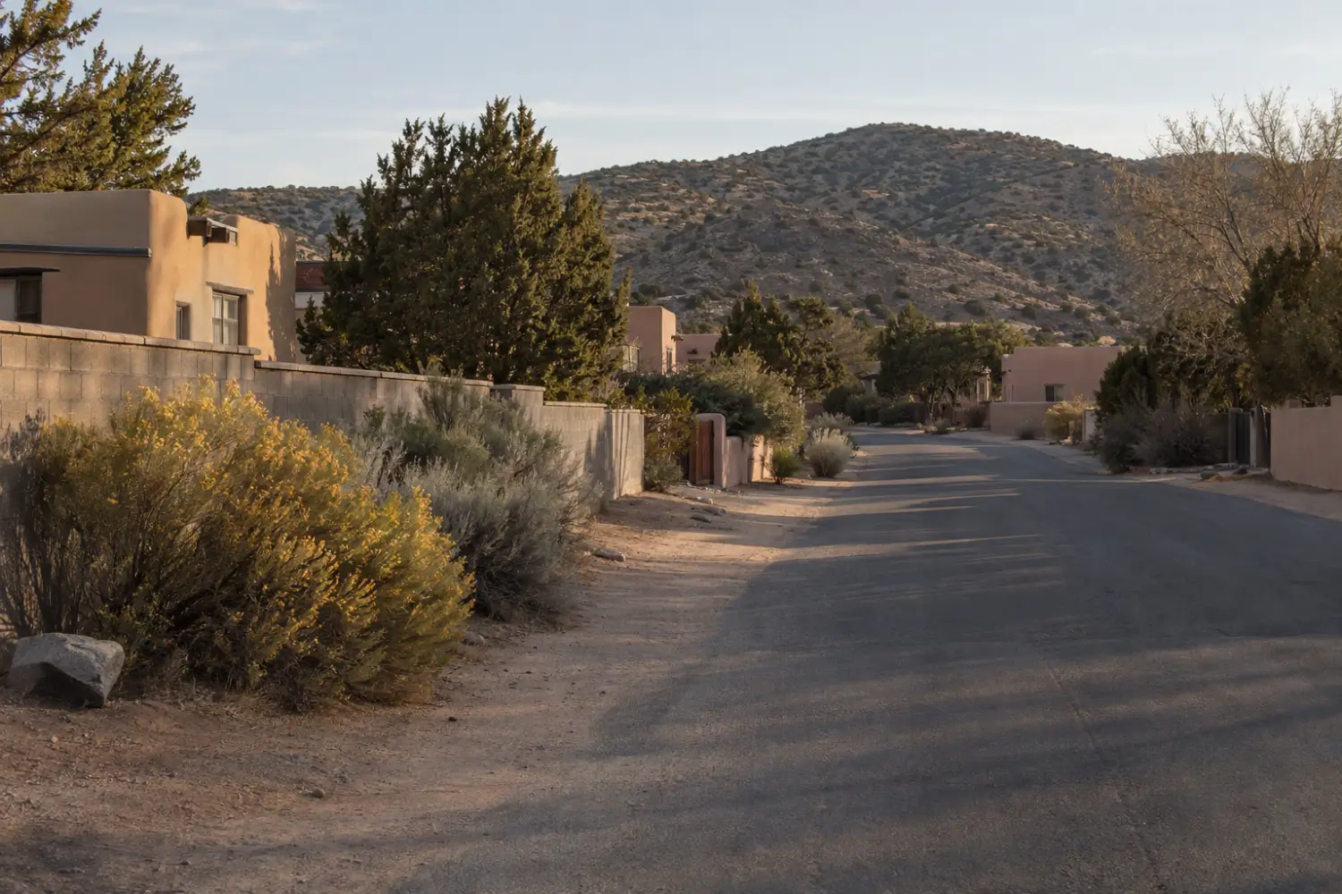 Flat-roofed stucco homes on a quiet street with a dirt shoulder and juniper trees in late afternoon