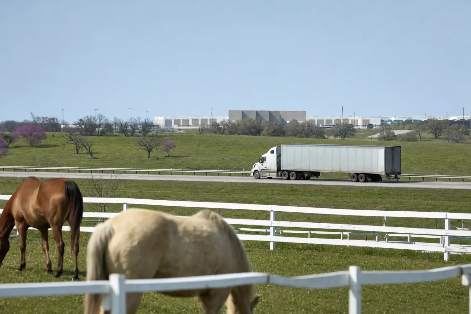 Tractor-trailer on a highway beyond a white board fence with grazing horses in the foreground